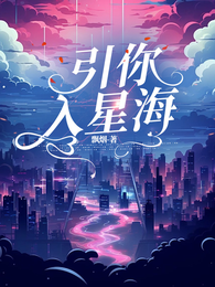 引你入星海 封面