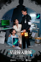 星途撞入他的城 封面