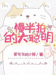 慢半拍的大聪明 封面