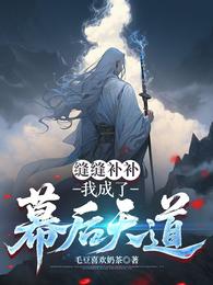 缝缝补补,我成了幕后天道 封面