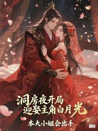 洞房夜，开局迎娶主角白月光！ 封面