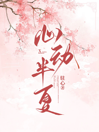 心动半夏 封面