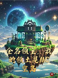 全名领主，我的领土是MC空岛 封面