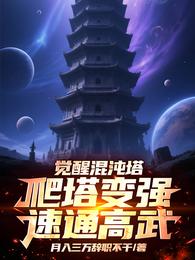 觉醒混沌塔，爬塔变强速通高武 封面