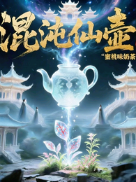 混沌仙壶 封面