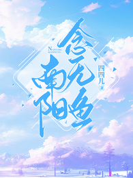 南阳念无鱼 封面