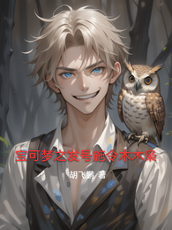 宝可梦之发号施令木木枭 封面