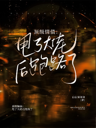 顶级情债:甩了大佬后跑路了 封面