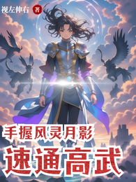 手握风灵月影，速通高武 封面