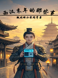 西汉末年的那些事 封面