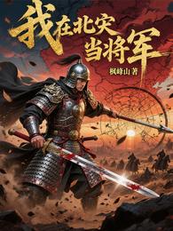 我在北宋当将军 封面