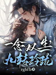 一念双生九转玲珑3 封面