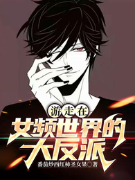 游走在女频世界的大反派 封面