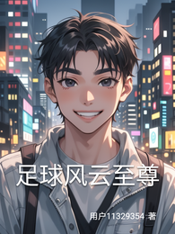 足球风云至尊 封面