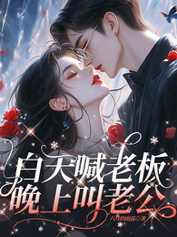 白天喊老板,晚上叫老公 封面