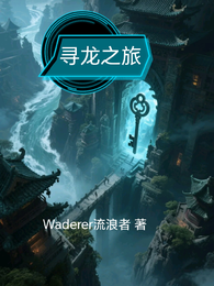 寻龙之旅 封面