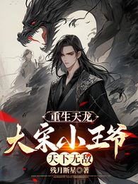 重生天龙，大宋小王爷，天下无敌 封面