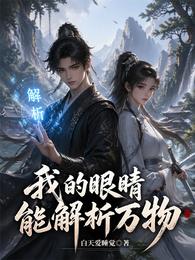 我的眼睛能解析万物 封面