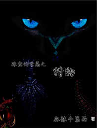 珠宝的诱惑之猎物 封面