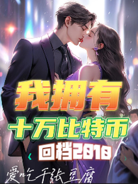 回档2010：我拥有十万比特币 封面
