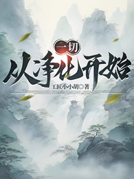一切,从净化开始 封面