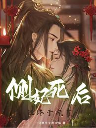 侧妃死后他终于疯了 封面
