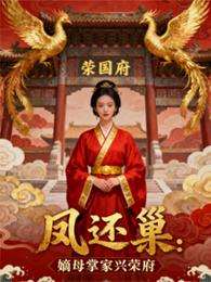 凤还巢:嫡母掌家兴荣府 封面