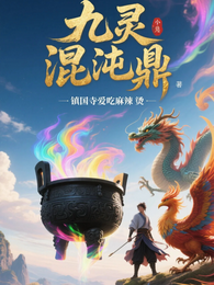 九灵混沌鼎 封面