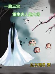 一胎三宝，夫人是大佬 封面