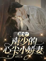 甜宠!南少的心尖小娇妻 封面
