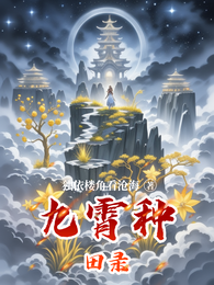 九霄种田录 封面
