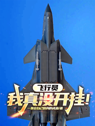 飞行员：我真没开挂！ 封面