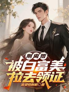 刚离婚,被白富美拉去领证 封面
