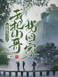 盗墓笔记之我把小哥拐回家 封面
