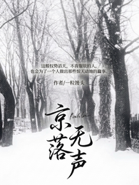 京落无声 封面