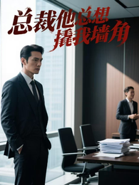 总裁他总想撬我墙角 封面