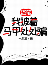 盗笔：我披着马甲处处骗 封面