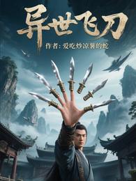 异世飞刀 封面