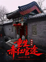 名义之重生赤红官途 封面