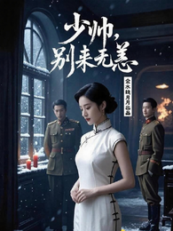 少帅,别来无恙 封面