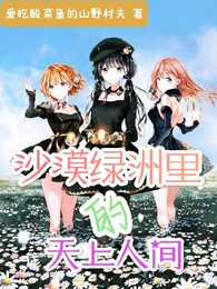 沙漠绿洲里的天上人间 封面