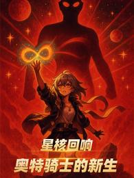 星核回响：奥特骑士的新生 封面