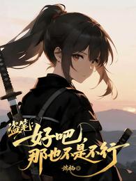 盗笔：好吧，那也不是不行 封面