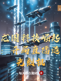 龙国科技崛起:开局直播造光刻机 封面