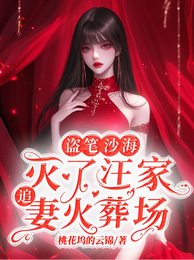 盗笔沙海：灭了汪家追妻火葬场 封面