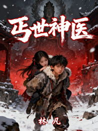 丐世神医林凡 封面