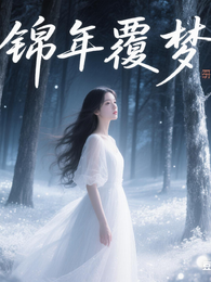 锦年覆梦 封面