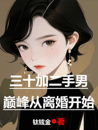 三十加二手男巅峰从离婚开始 封面