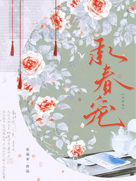 承春宠 封面