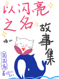 以闪亮之名故事集 封面